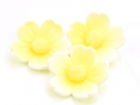 Blumen 40mm wei-gelb Zucker 6 Stck