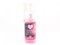 Sparkle Dust Ruby Slipper 10g Pumpspray