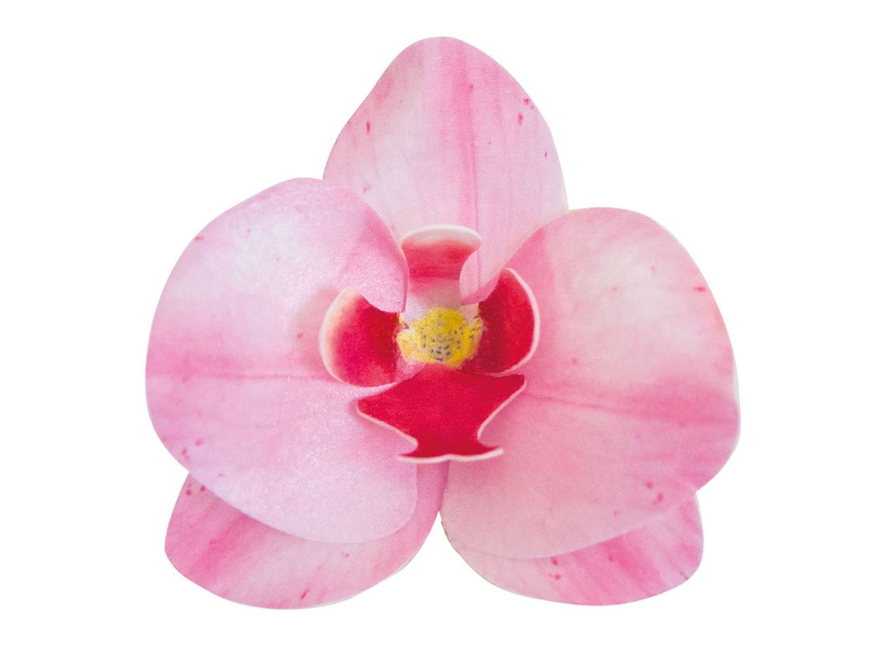 Wafer-Paper Orchidee pink 7,5-8,5cm 10 Stck